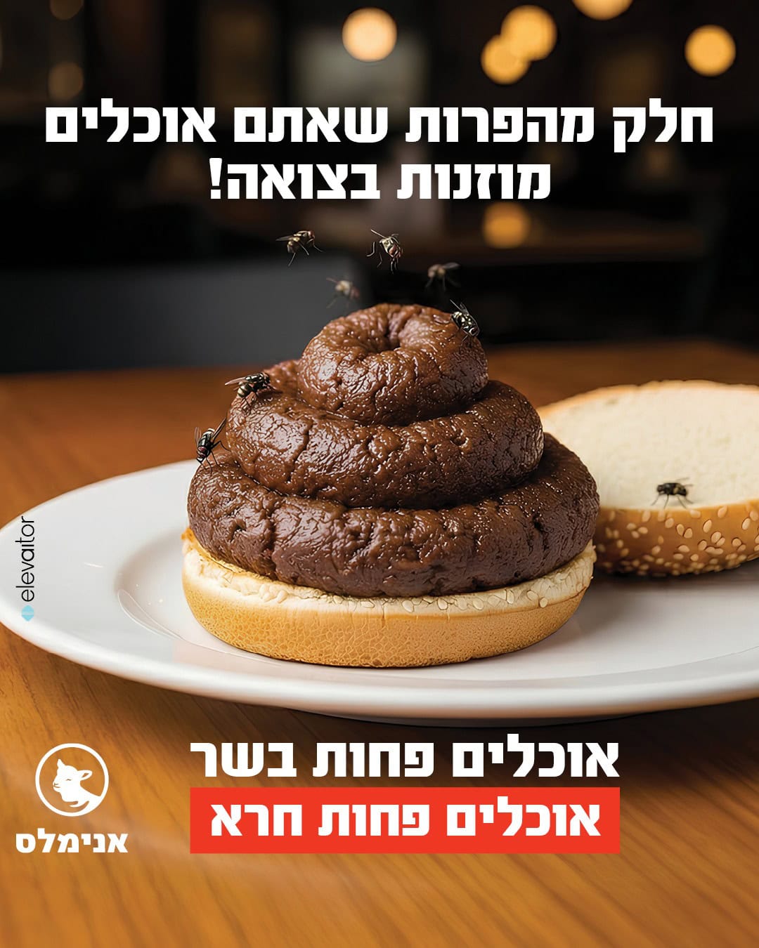 מתוך הקמפיין של עמותת אנימלס מתוך הקמפיין של עמותת אנימלס