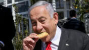נתניהו אוכל סנדוויץ' (צילום: נועם רבקין פנטון)