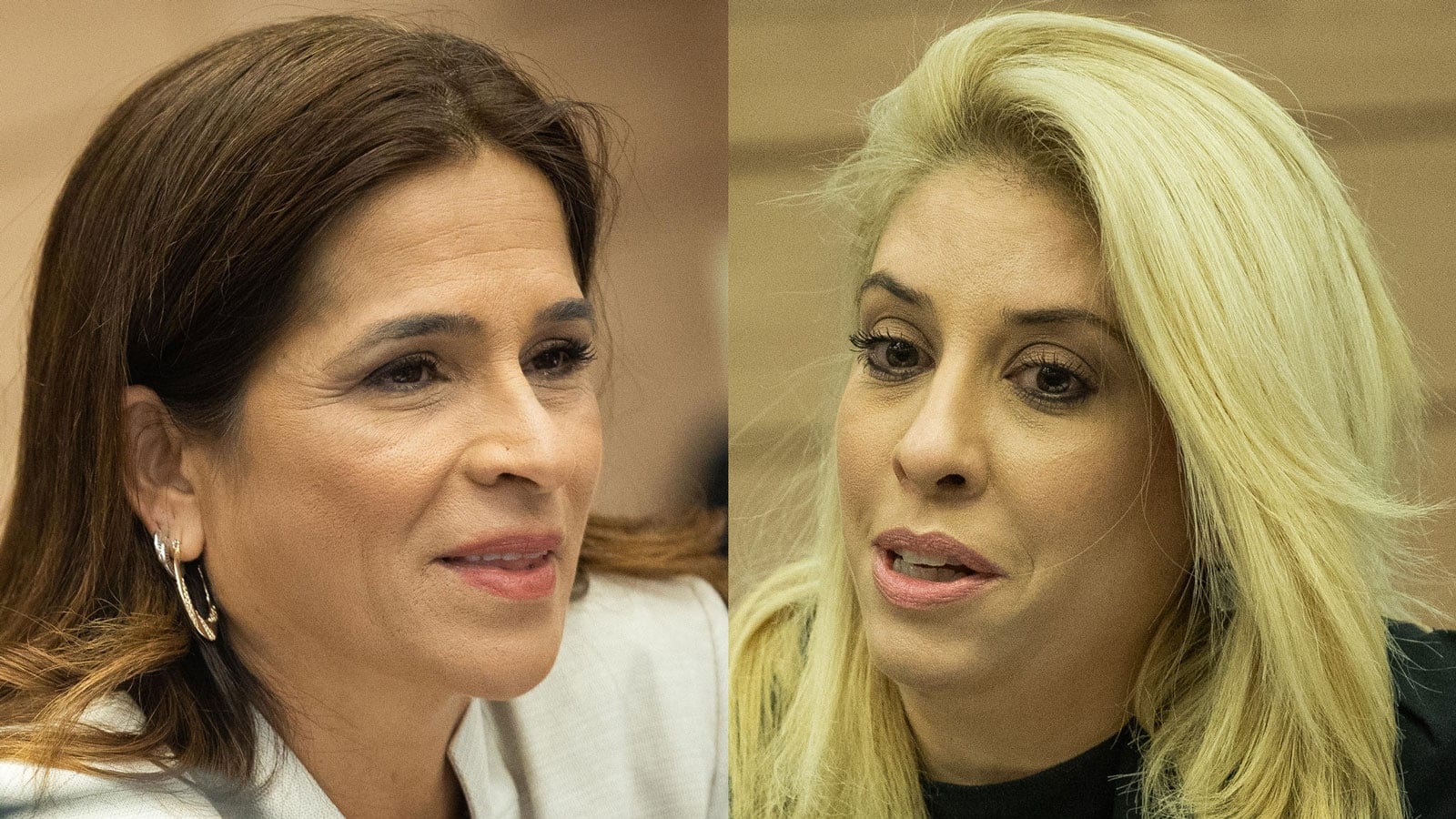 חברות הכנסת שלי טל-מירון ומירב בן-ארי (צילומים: יונתן זינדל) חברות הכנסת שלי טל-מירון ומירב בן-ארי (צילומים: יונתן זינדל)