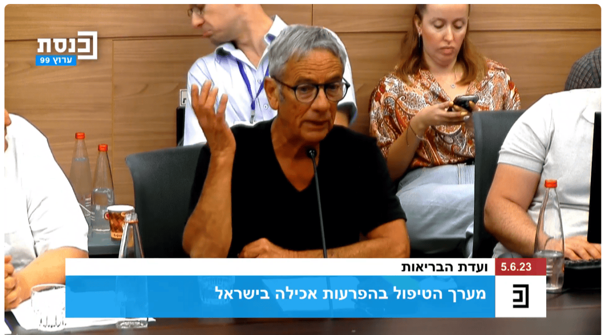 עדי ברקן בוועדת הבריאות של הכנסת (צילום מסך)
