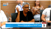 עדי ברקן בוועדת הבריאות של הכנסת (צילום מסך)