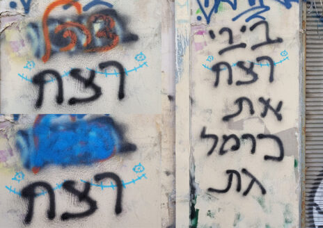 רחוב פרנקל, 2024–2025 (צילומים: ציפה קמפינסקי) רחוב פרנקל, 2024–2025 (צילומים: ציפה קמפינסקי)