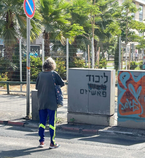 ציפה קמפינסקי, רחוב הרצל (צילום: גרא דוידי) ציפה קמפינסקי, רחוב הרצל (צילום: גרא דוידי)